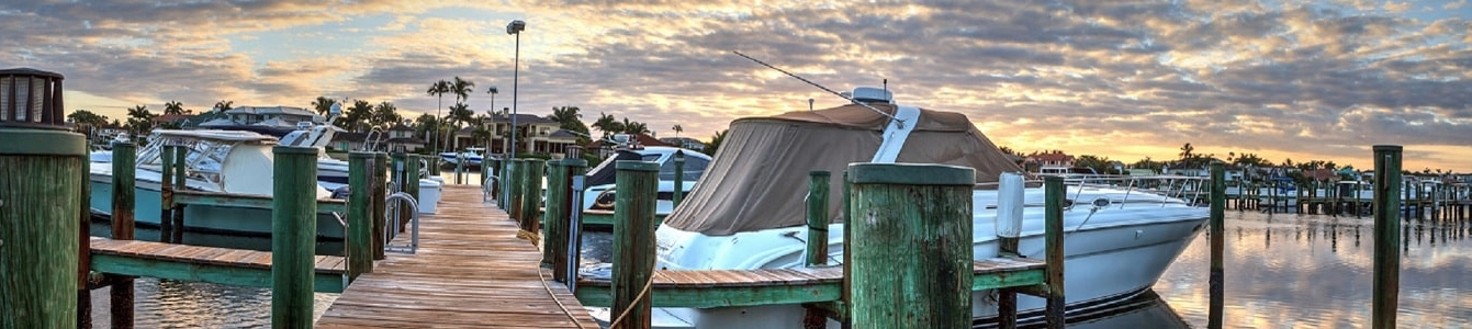 Tampa Junk Removal Tampa Junk Removal
